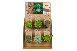 Eco-look toonbankdisplay golfkarton